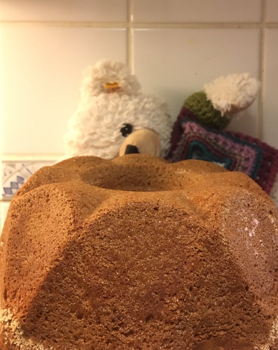 KarhuLisa's tweet photo. Whisk, bake & THUD #bakingbears #marrowgingerstoutcake #NYTCooking @Rosiebear90 https://t.co/LtospXmMRQ