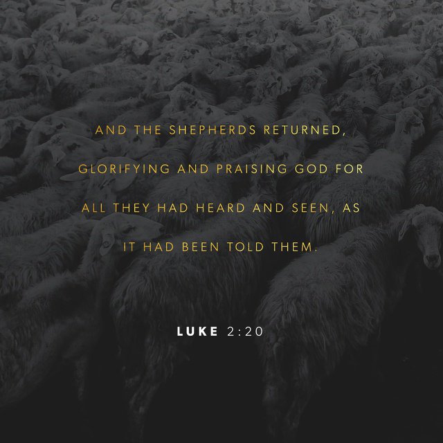 ToddkmOfficial's tweet photo. Luke 2:20 - https://t.co/LYgSztHnaM https://t.co/n1R6yNqjZ4