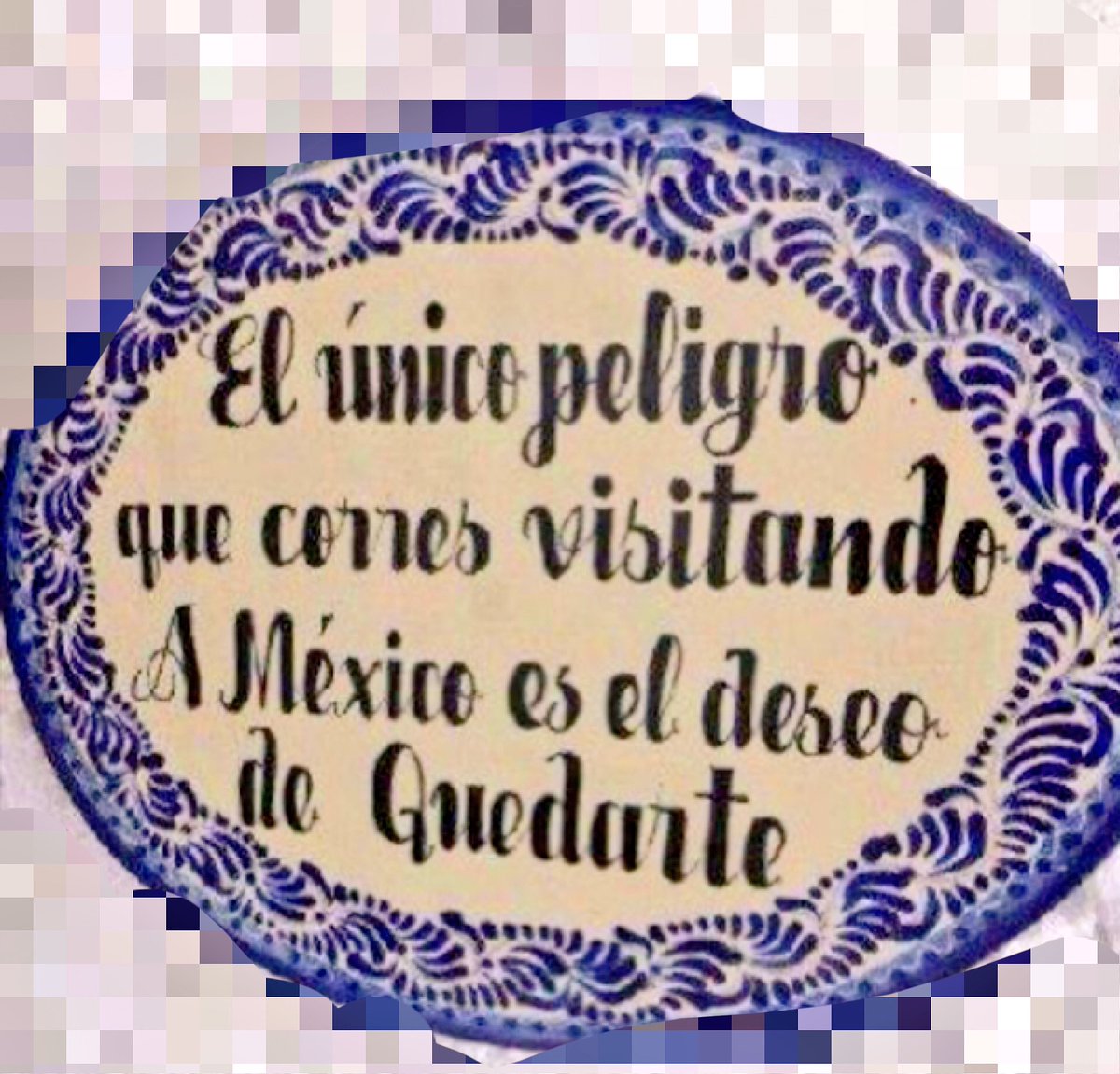 Daniela Valero tweet media