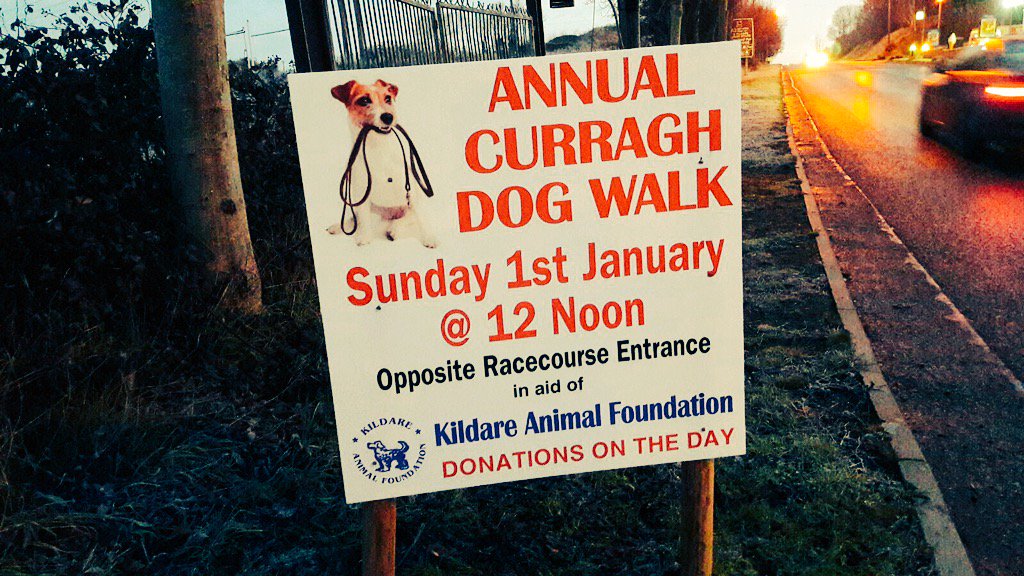 Curragh Dog Walk tweet media