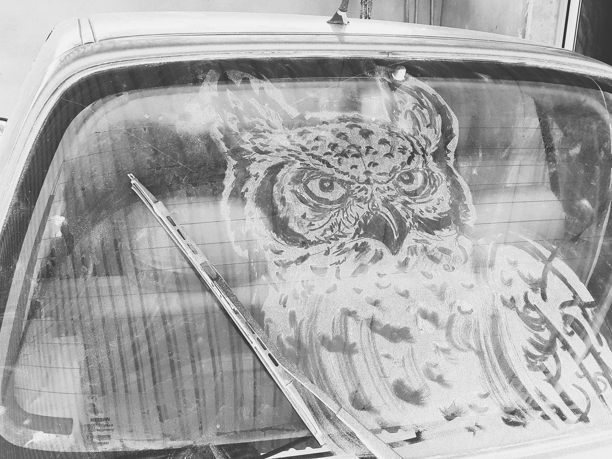 ertz373's tweet photo. #art #Draw #owl #cardrawing #dusty #libya #Tripoli #benghazi #zliten #218 #رسم #طرابلس #بنغازي #زليتن #ليبيا #بوم https://t.co/S7kgulnoXF