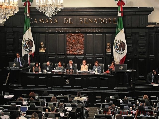 Mujer_esMas's tweet photo. «METAMORFOSIS»: Derechos humanos, de vacaciones @88Elenachavez una asambleísta inconforme por estar de descanso https://t.co/gpooaxH4Pj https://t.co/uvN7tdowkx