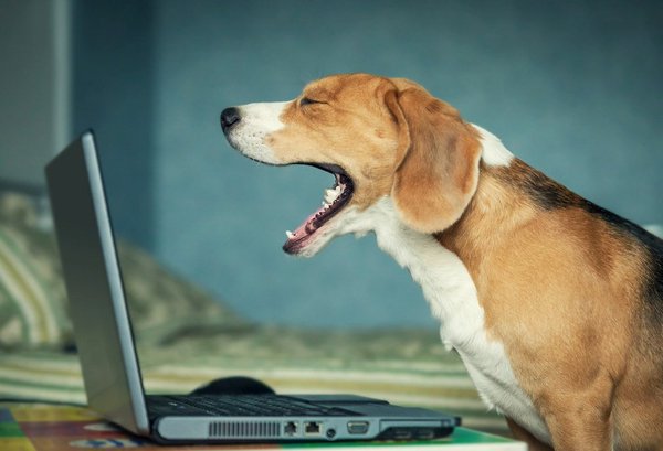 Un petit coup de mou d’après-déjeuner au boulot ? Quelques conseils 😉 -> https://t.co/k1oo1LSBZR #emploi https://t.co/j0U8xi42fF