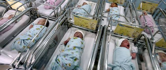 Science à plumes tweet media