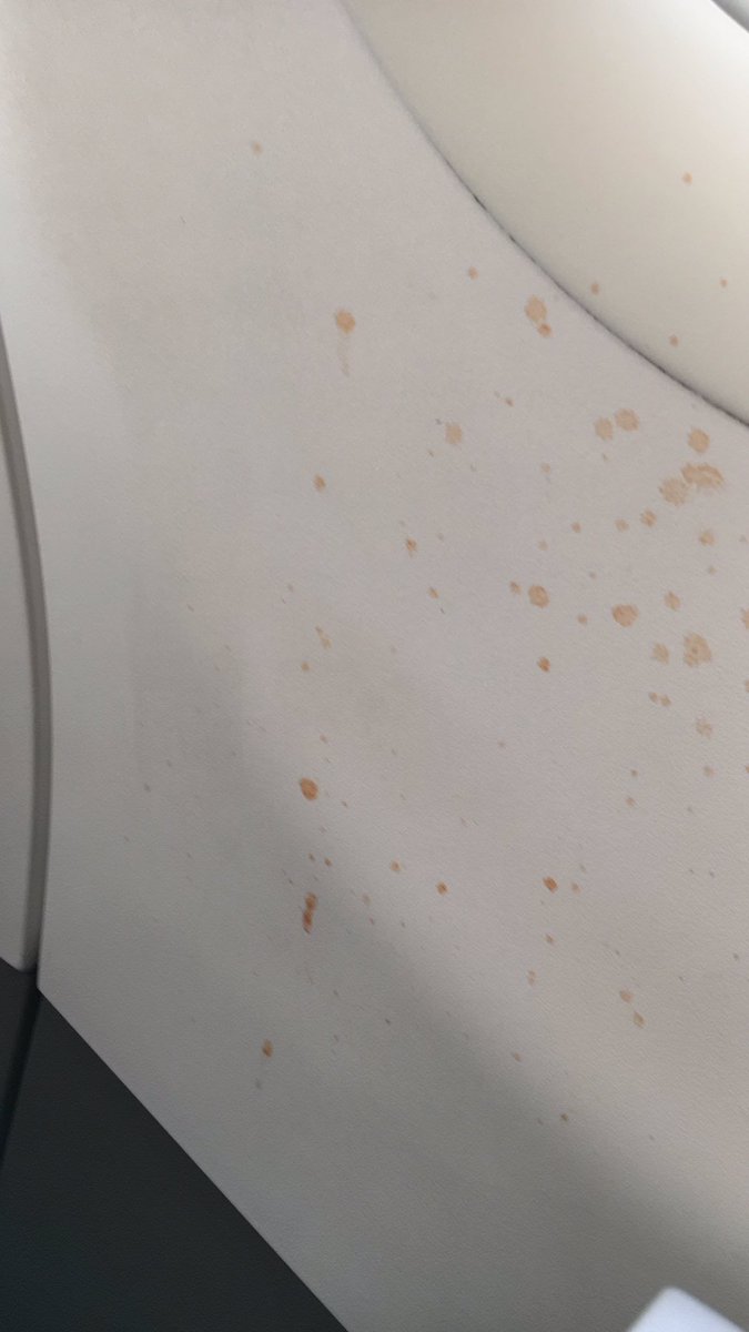 BjoernRust's tweet photo. @wizzair "I don't know who it was - it was not there in the morning" - Flight attendant's reaction to minor hygenic problems on the plane https://t.co/JffSI43q9i