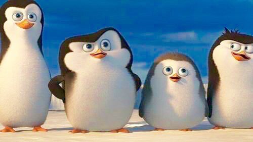 フィッシュ Penguinsfish08 Twitter フィッシュ Penguinsfish08 Twitter