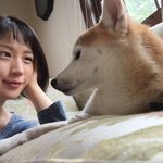 犬山紙子