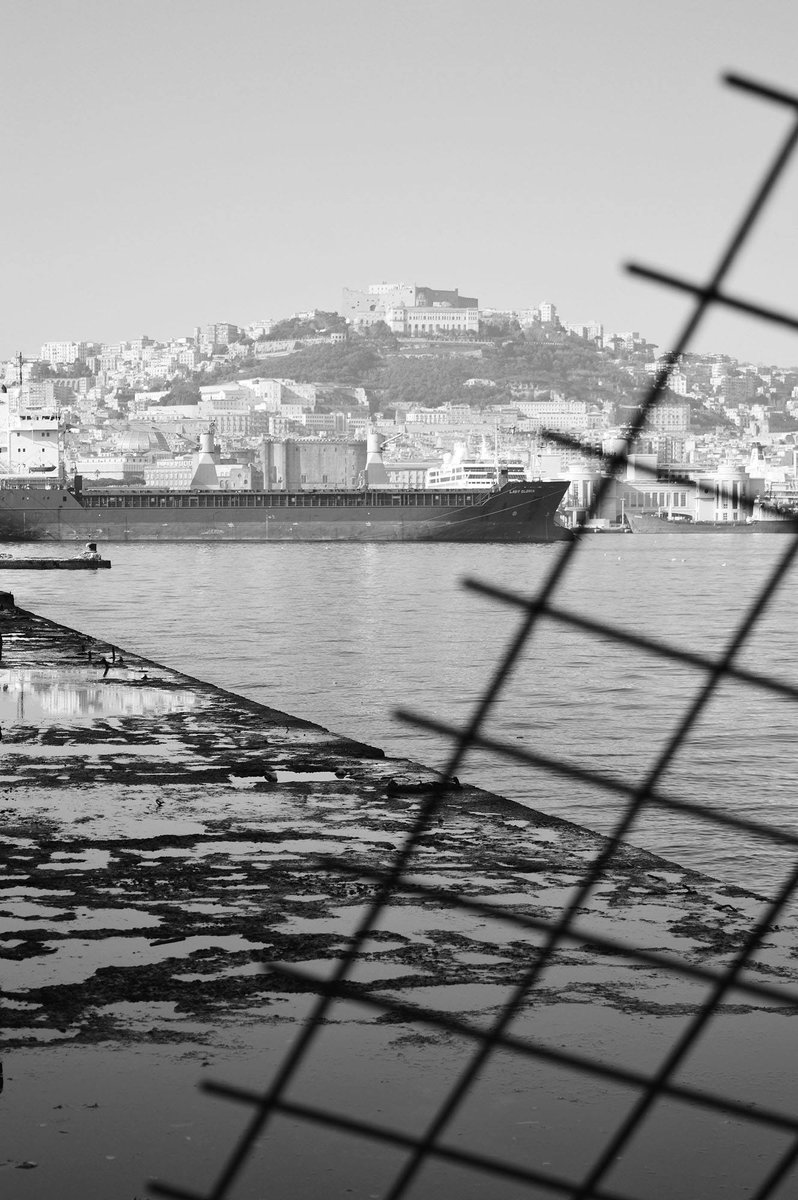 Port of Naples tweet media