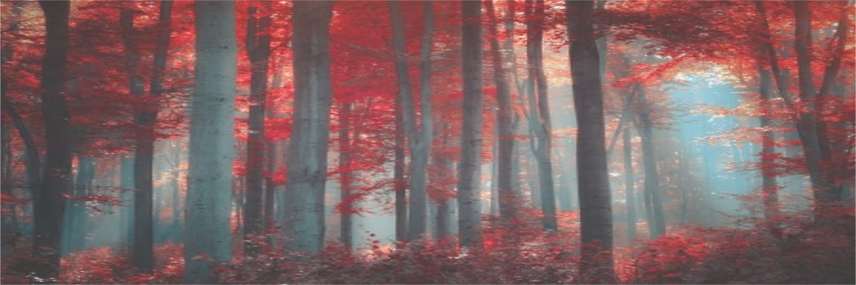 sparklinlayout tweet picture