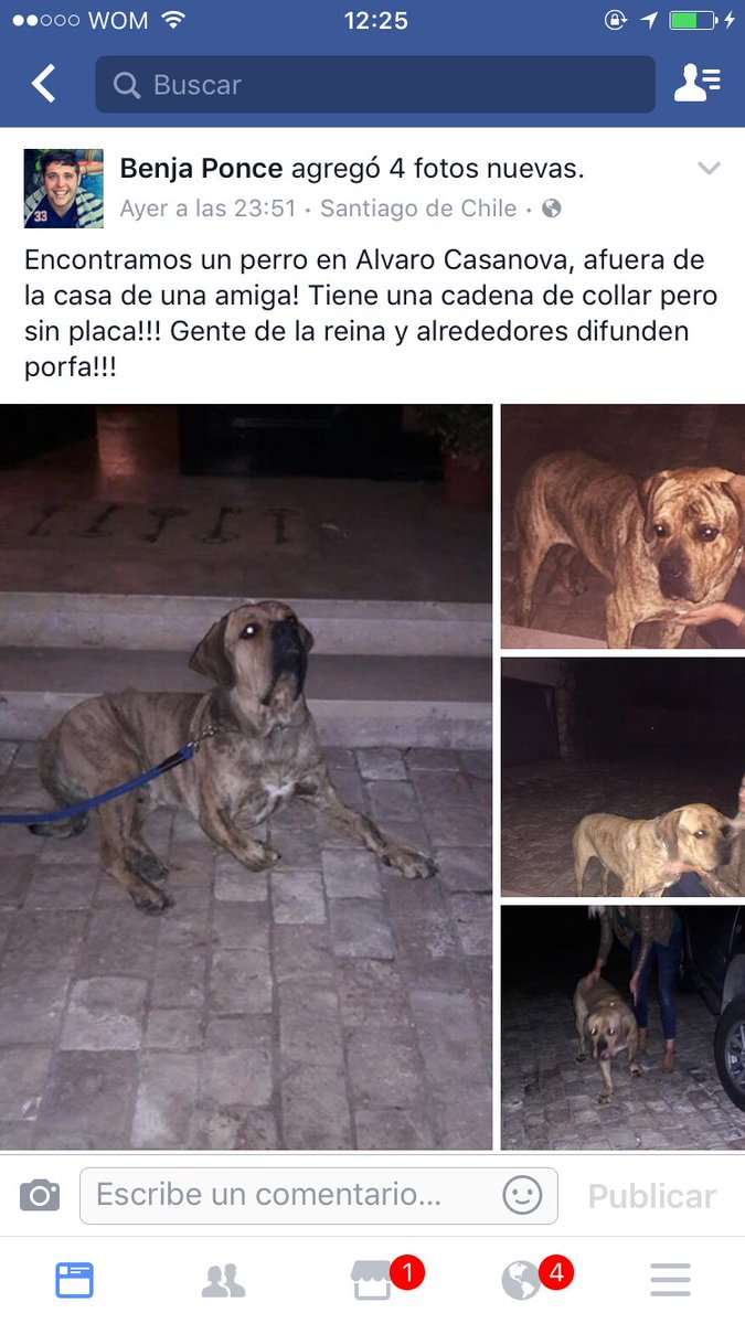 Paula BotasPuestas tweet media