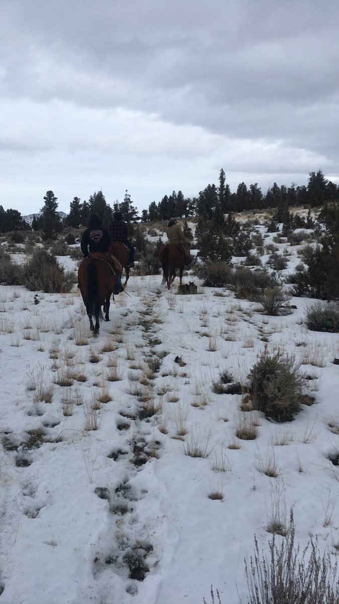MFBorden's tweet photo. Heading down to AZ for a week or so. Then back to the grind with the music life. #TakeCharge #Dontstoptheparty #shoooooo https://t.co/8l61OdeDb4