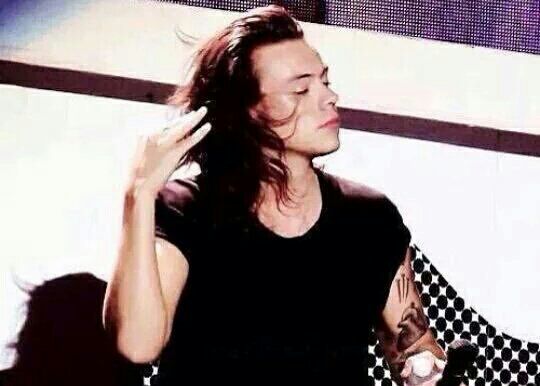 agossipsqd's tweet image. Vendo a tag nos trends// depois de ver que as Directioners dominaram a tag
#AMusicaTaBoaSemOneDirection