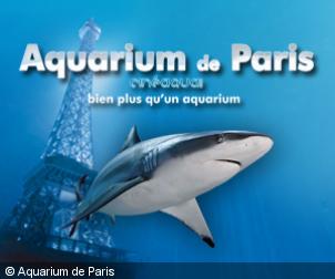 MagicFrequence's tweet photo. Pas de vacances pour @QuefaireDmomes & @eric_coudert demain à 10h sur https://t.co/wPDP0HCTRJ avec @AquariumdeParis @PapotiApp & #Vassilissa https://t.co/TzVRyNPE2Q