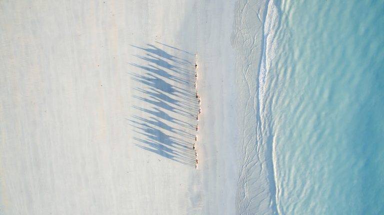 portrait_mag's tweet photo. Best Drone Photographs of 2016 https://t.co/9VQjgfrZGU https://t.co/3M9PjxpyVc