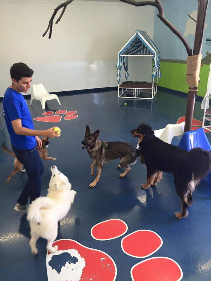 MigueH1997's tweet image. Disfrutando con los niños. #PetSet