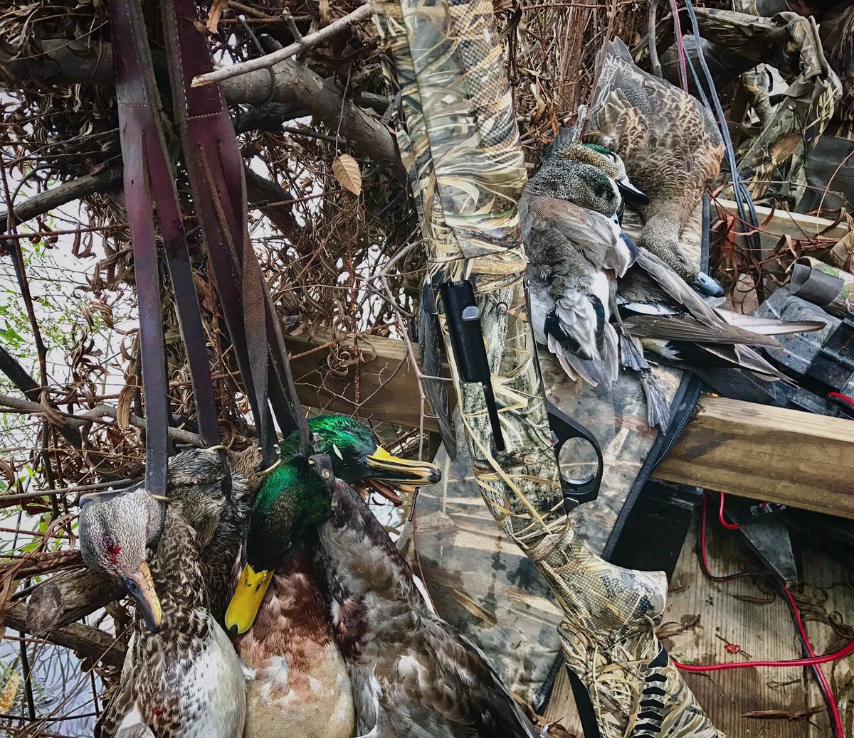 Duck_Commander's tweet photo. Fear God, love your neighbor, and shoot ducks. https://t.co/eU9J9UdSIX