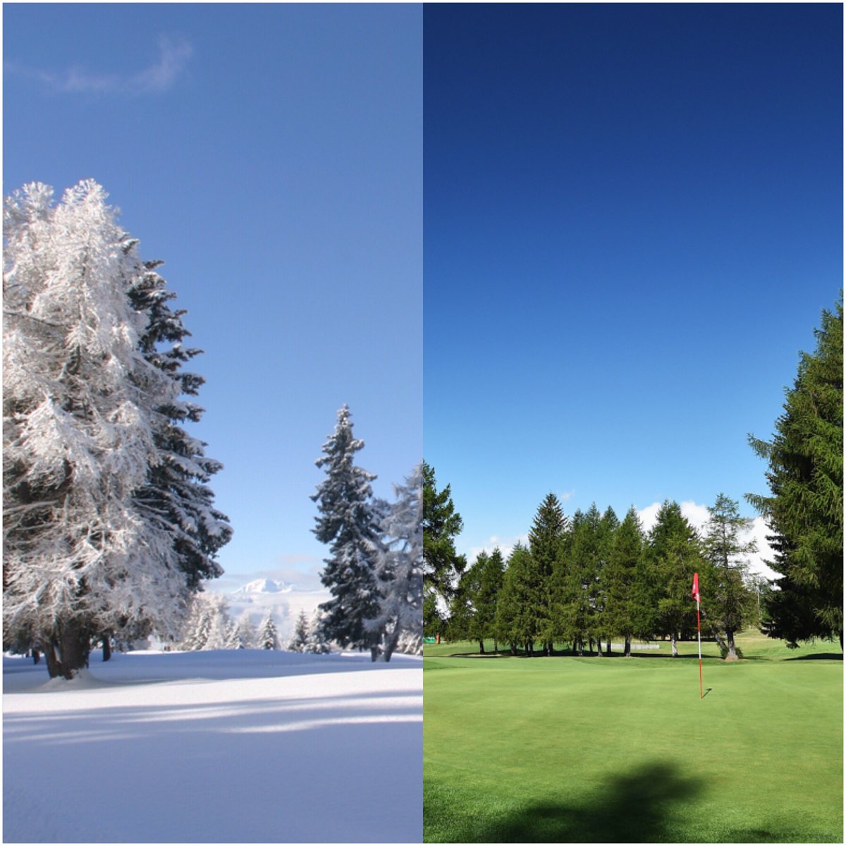 Как отличить зимний. Зима лето. Зима или лето. Зимой и летом. Лето против зимы.