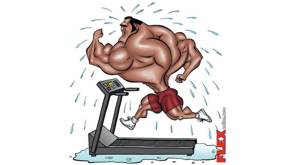 FLEX_Magazine's tweet image. Here are some cardio tips to help you get back on track after the holidays: bit.ly/1UJd6zR