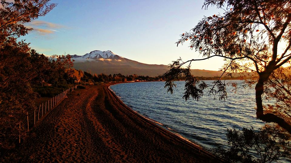 Sur De Chile tweet media