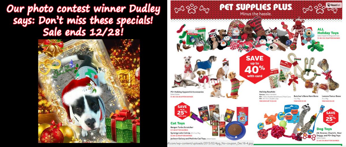PSP_FL's tweet photo. These specials end tomorrow, don't miss out! Thank you Dudley for being our model! https://t.co/95CgsdktN3