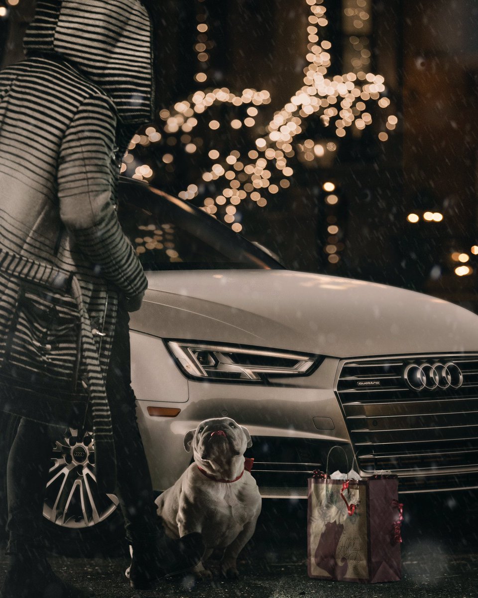 Toots was glad to watch over the @Audi for me while I loaded up the presents this year. #audipartner
