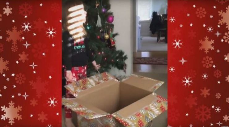 Cat jumps from Christmas box before girl notices bit.ly/2inJMz3 https://t.co/omdxmWbRy6