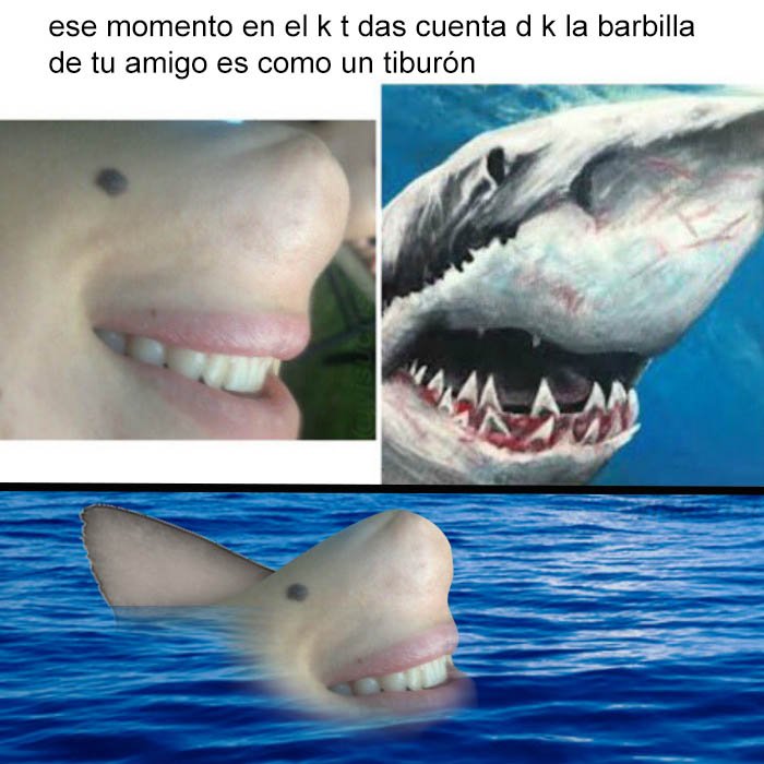 yisucrist's tweet photo. pero k coño es esto? xddddd https://t.co/JDD9mGzrWs