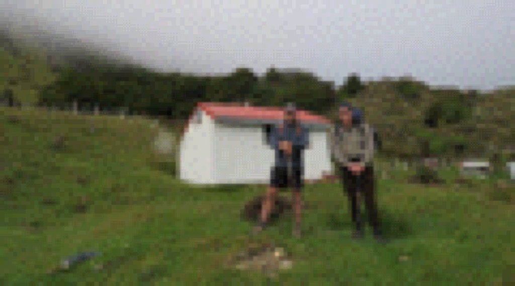 docgovtnz's tweet photo. DOC Director-General Lou Sanson became one of the first to see the sun on Mount Hikurangi this week: https://t.co/7bN94VM9pN #DOCboss https://t.co/3psKJyv076