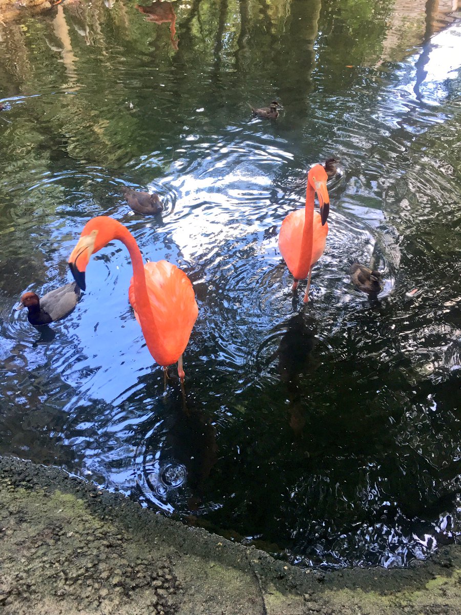 Angela Cruz On Twitter Perfect Weather To Enjoy The