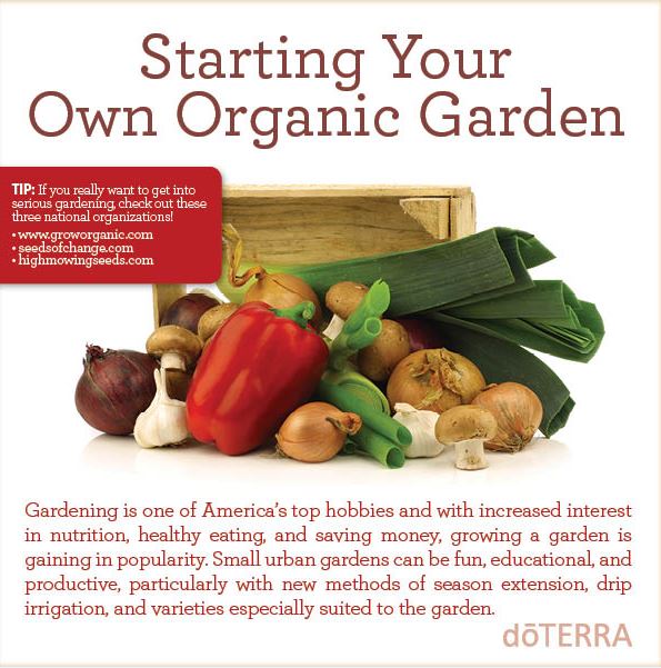LotusDawn's tweet photo. Tips for Starting Your Own Organic Garden https://t.co/Mrh0EvucG3 #OrganicGardening https://t.co/BqamIfwXOx