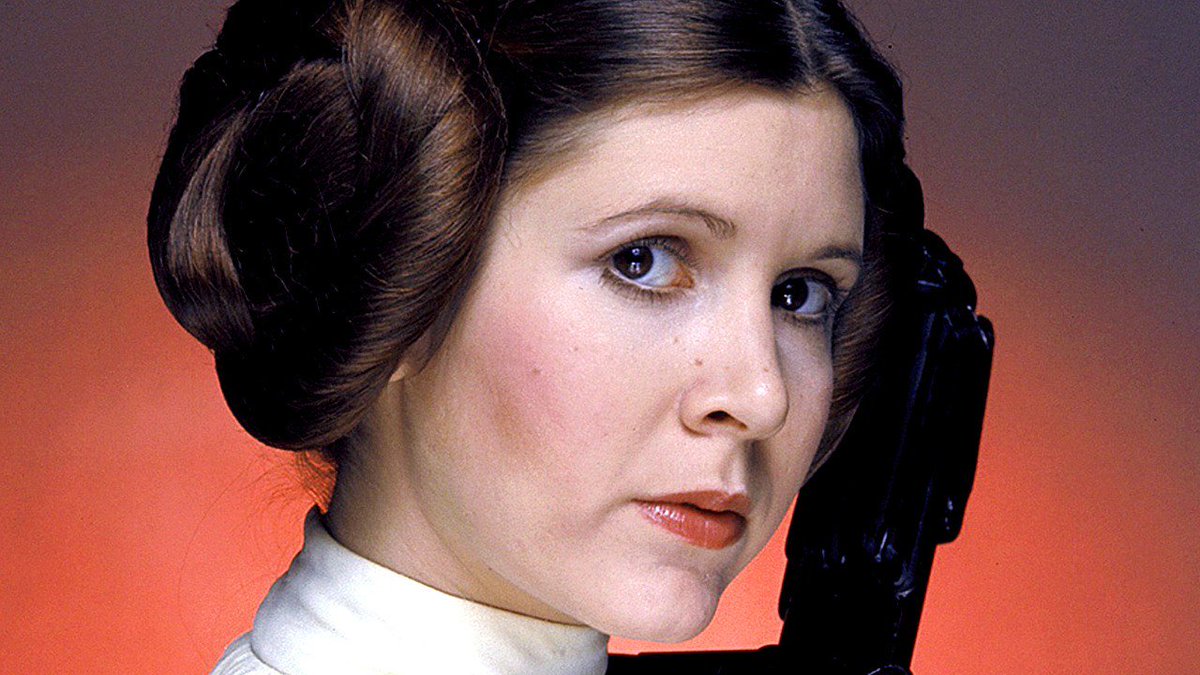 IndianaSolo42's tweet photo. May you Rest In Peace Princess. We will always love you. #heartbroken https://t.co/r0NBcBYXa6