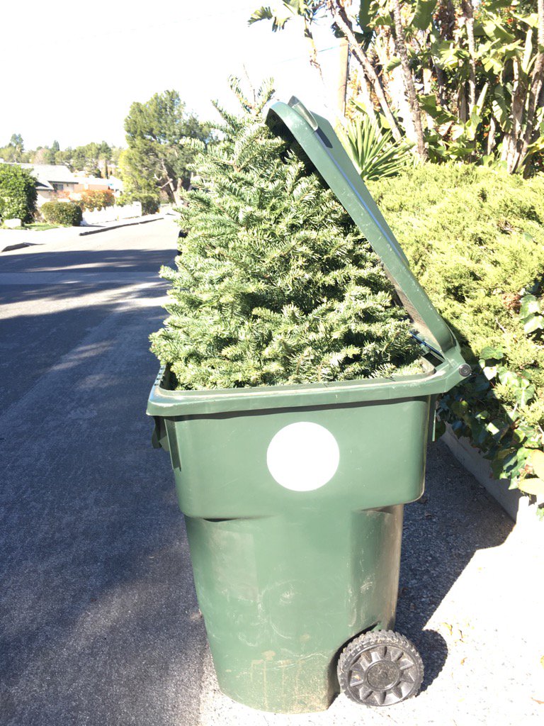 c_cano_composer's tweet image. Done.