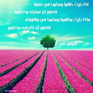 مما قرأت (@mmaqarat) on Twitter photo 