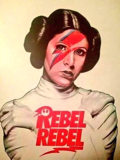 Rocknfool's tweet photo. Princesse Leia a rejoint les étoiles. Si tu passes par Mars, salue David Bowie pour nous. #CarrieFisher https://t.co/7IxwthsDE8