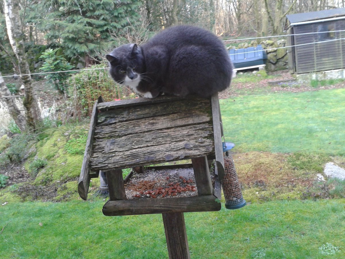 graysonlarkin's tweet image. Home is so sad. It stays as it was left,
Shaped to the comfort of the last to go
As if to win them back. #AmazingSpaces