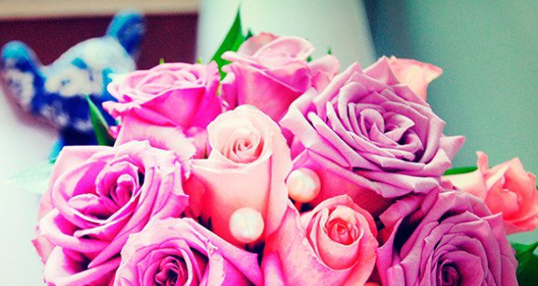 SStylesFlorist's tweet photo. 4 tricks to make fresh flowers last longer #flowertips  https://t.co/kTLsJVbWiG https://t.co/MKF86KcKEC