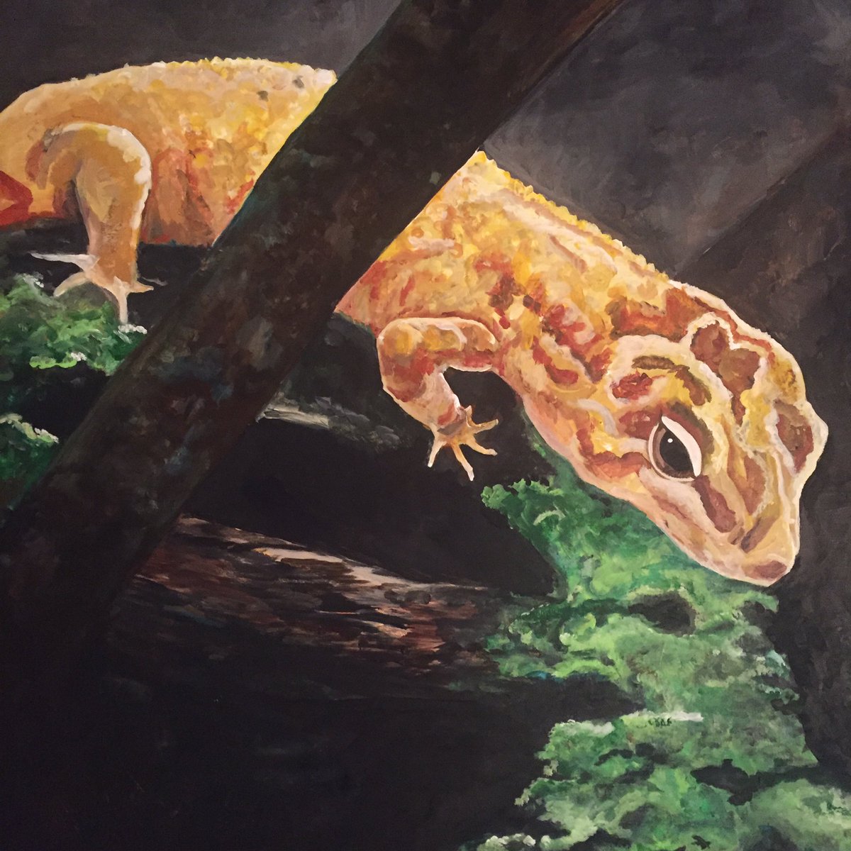 TabCreates's tweet image. Progress shot! #gecko tabcreates.ca
