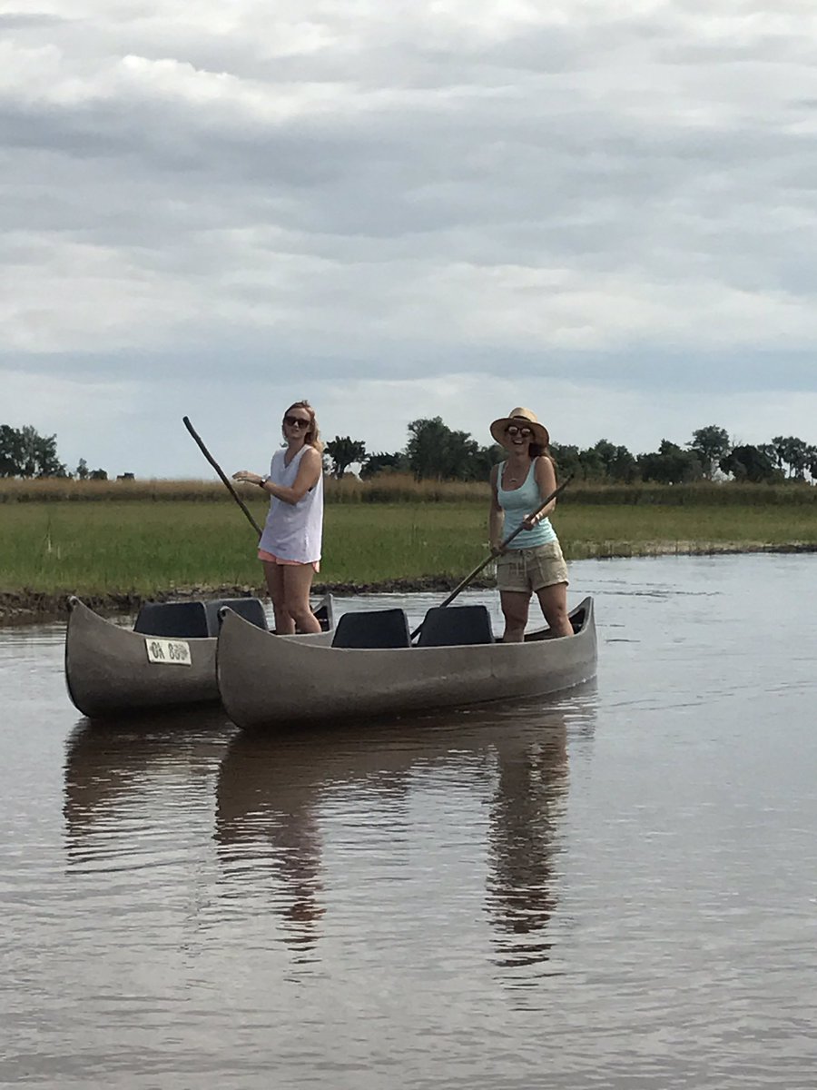 Just back from Sitatunga spotting, mokoro poling, Delta swimming &amp; walking on buffalo at <a href="/desertdelta/">Desert & Delta Safaris</a> #CampOkavango

#LostInBots #iLoveDDS
