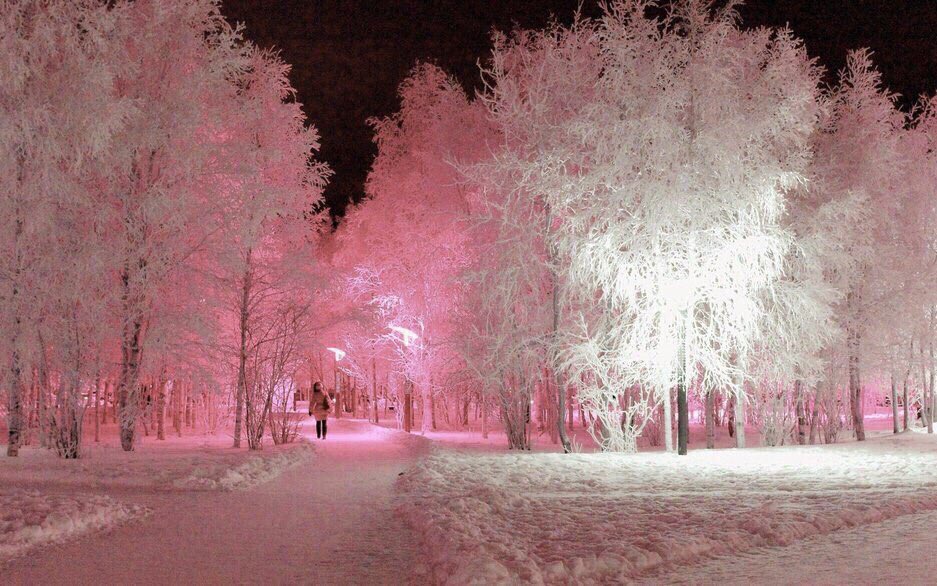 KJSXO95's tweet photo. PINK ME
   💕💞🌸💗👛👚🌷🌹🌺🐙🐽💒🏩🎀💘💖💓 https://t.co/qgq4QjLfeT