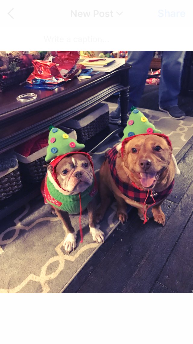 Juss914's tweet photo. Christmas time! https://t.co/FlzVb2Zj9s