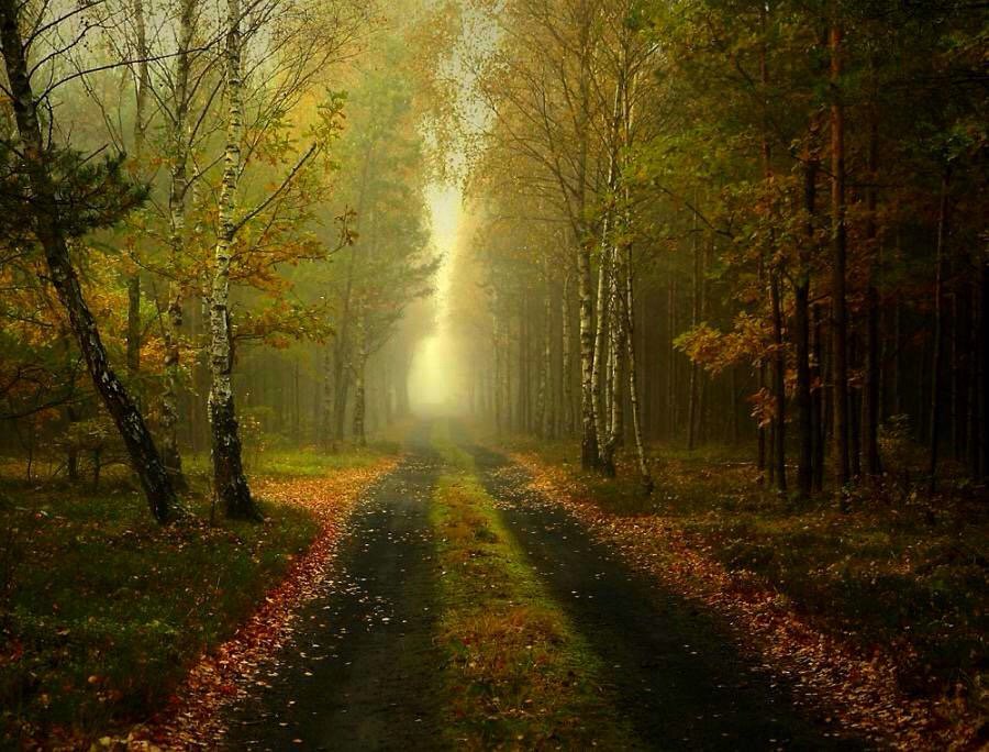 Tim Payne tweet media