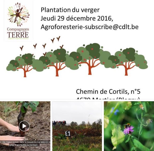 compagnonsterre's tweet photo. Plantez des arbres ce jeudi 29 décembre #cortils #mortier #wallonie #agroforesterie https://t.co/1Uqo3sMHSc https://t.co/AoSEkur16L