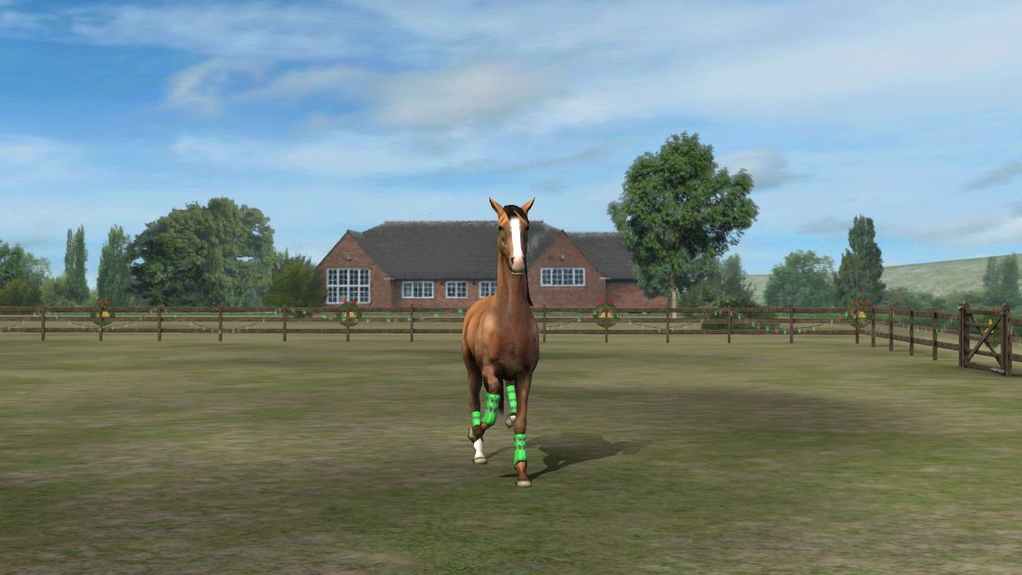 ChiarAcciarini's tweet photo. Guarda la mia foto! Aggiungimi, ShiningJumper. #MyHorse  https://t.co/THfrwuaeSg https://t.co/GHaCTN5A0K