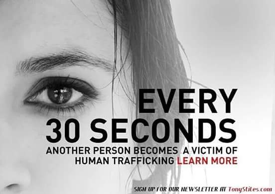 Tony Stiles tweet media