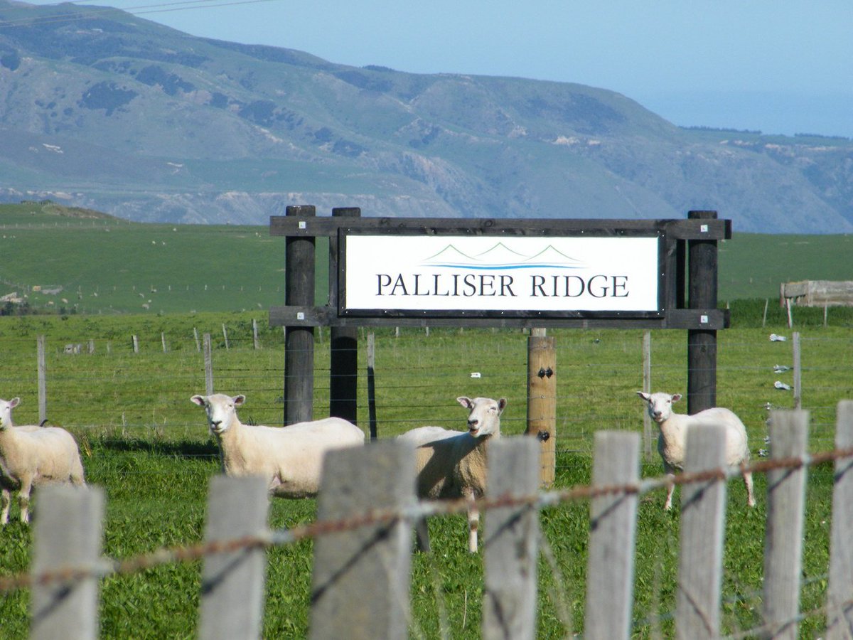 The road to #ngawi is like a #highway today! If you're heading out the Coash keep a look out for our #palliserridgesign that's #home for us!