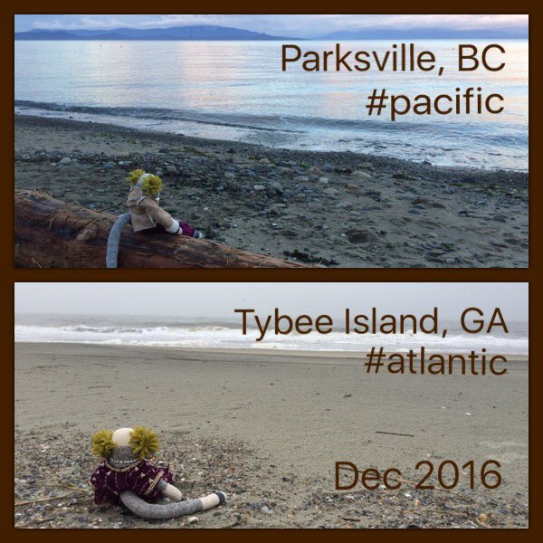 RaqnMonkeys's tweet photo. From coast to coast & ocean to ocean in less than a month... #raqnmonkeys https://t.co/mQcYFLja6K