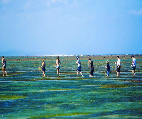 On the 8th day of Christmas, Outrigger Fiji gave to you, 8 guests exploring! #outrigger #o… ift.tt/2iCoZHA