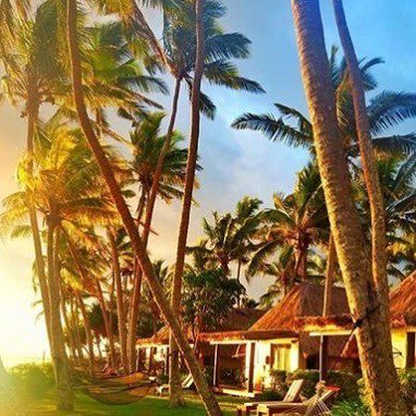 On the 11th day of Christmas, Outrigger Fiji gave to you, 11 palm trees swaying! #outrigge… ift.tt/2hmjf3C