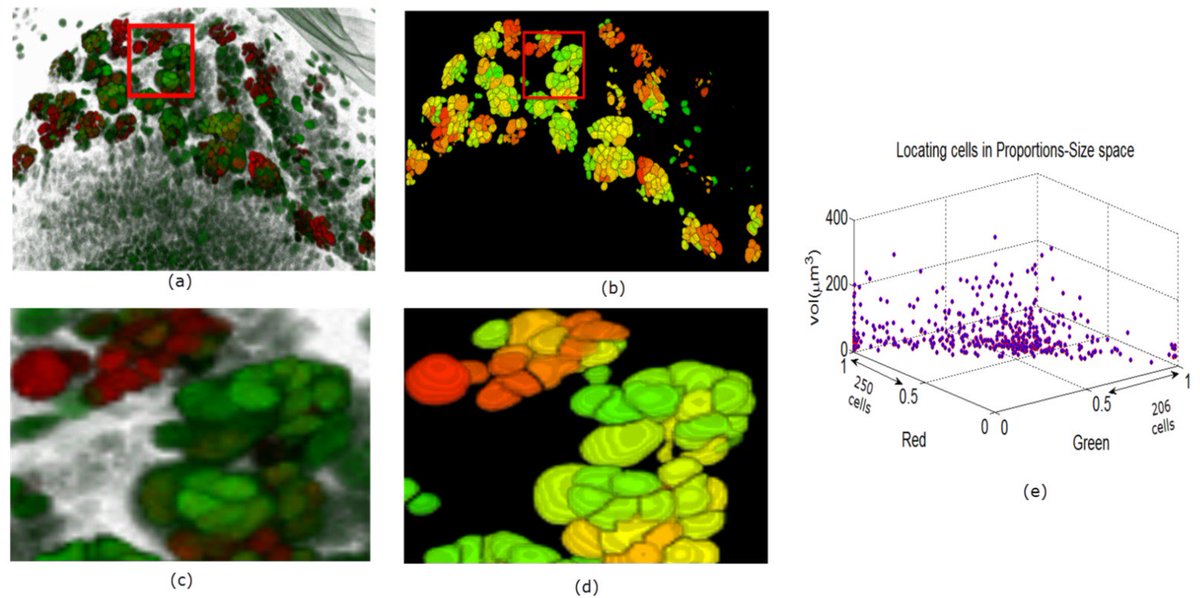 J_Imaging_MDPI's tweet image. #3D Clumped #CellSegmentation Using Curvature Based Seeded #Watershed. Full text free at: mdpi.com/2313-433X/2/4/… #imaging #openaccess