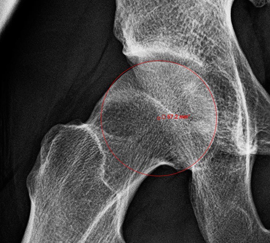 Dr. Derek Ochiai tweet media